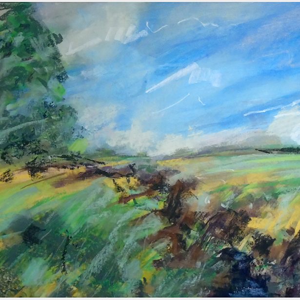 Ref: PD16. ‘Ditch and crops’. Pastel & acrylic inks on gessoed mountboard, 56x38 cm.