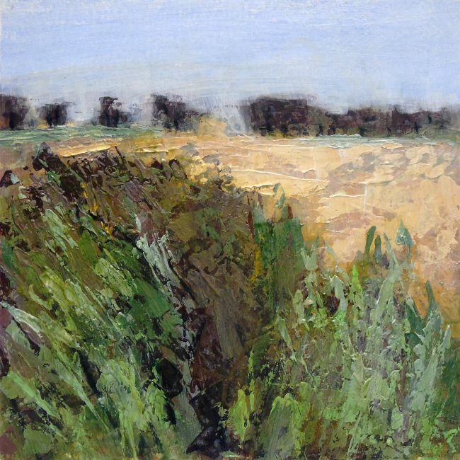 P257 “Reeds and rushes”. Acrylic on board, 12x12 inches (30.5x30.5 cm)